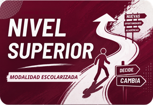 Nivel Superior Escolarizada